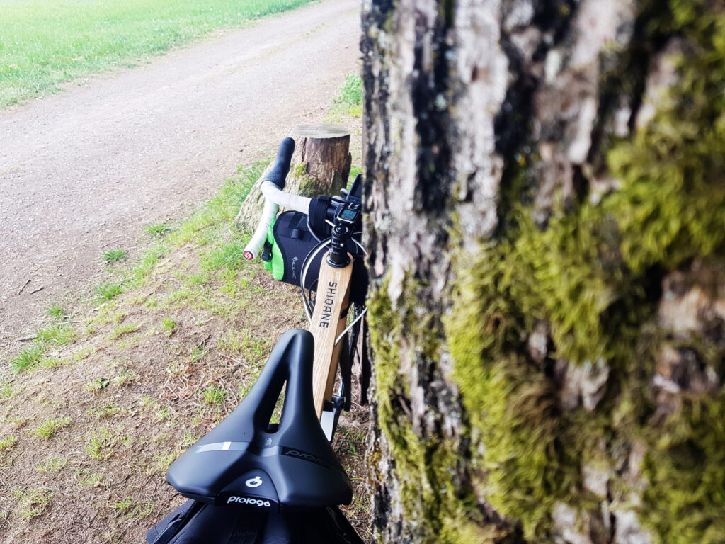 Houten fiets staat tegen een boom. De boomschors met mos is onscherp te zien aan de rechterzijde, terwijl de focus op de fiets links is